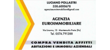 LUCIANO POLLASTRI AG. EUROIMMOBILIARE